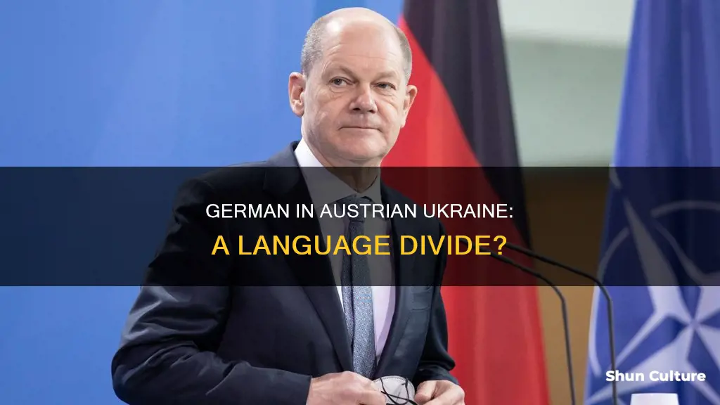 do they still speak german in austrian ukraine