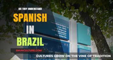 Do Brazilians Understand Spanish? Exploring Language Connections in Brazil