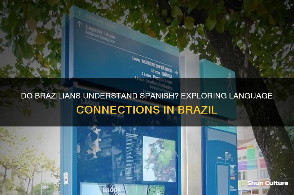 do they understand spanish in brazil