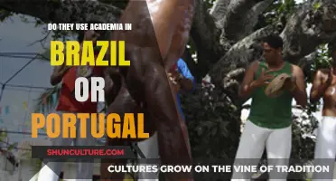 Academic Traditions in Brazil and Portugal: A Comparative Overview