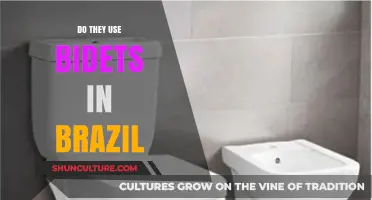 Exploring Brazilian Bathroom Culture: Do They Use Bidets in Brazil?