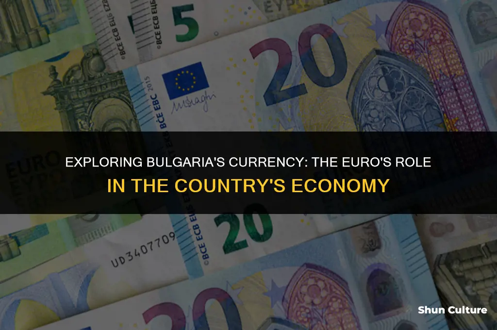 do they use euros in bulgaria