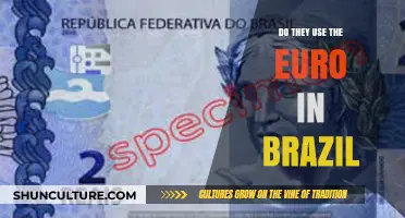 Does Brazil Use the Euro? Currency Insights for Travelers and Investors