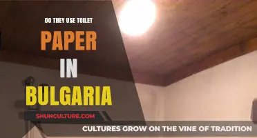 Exploring Bathroom Etiquette: The Case of Toilet Paper in Bulgaria