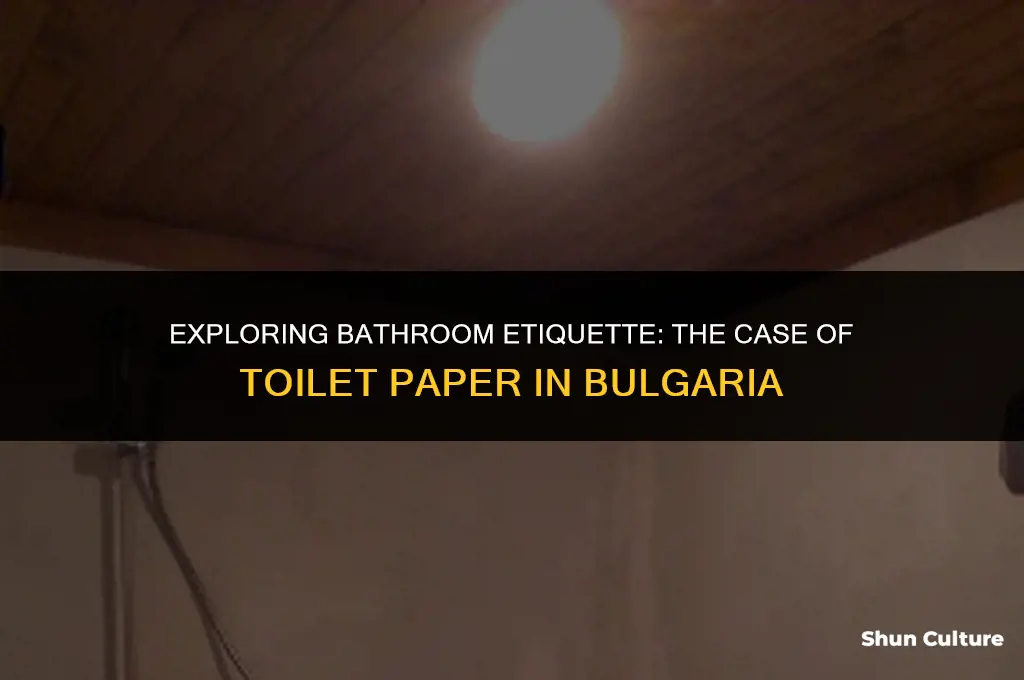 do they use toilet paper in bulgaria