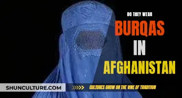 The Burqa in Afghanistan: A Complex Cultural Symbol