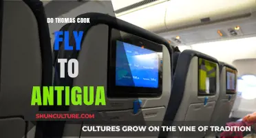 Does Thomas Cook Offer Flights to Antigua? A Travel Guide