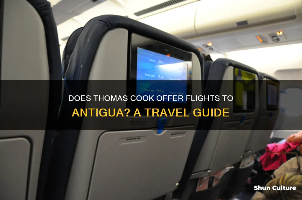 do thomas cook fly to antigua