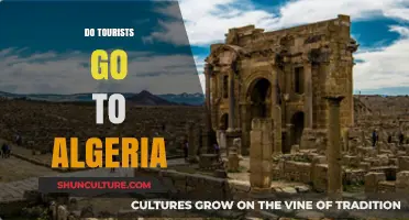 Exploring Algeria: Unveiling Tourist Attractions and Travel Trends