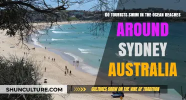 Sydney's Ocean Beaches: A Tourist's Guide to Swimming Safely
