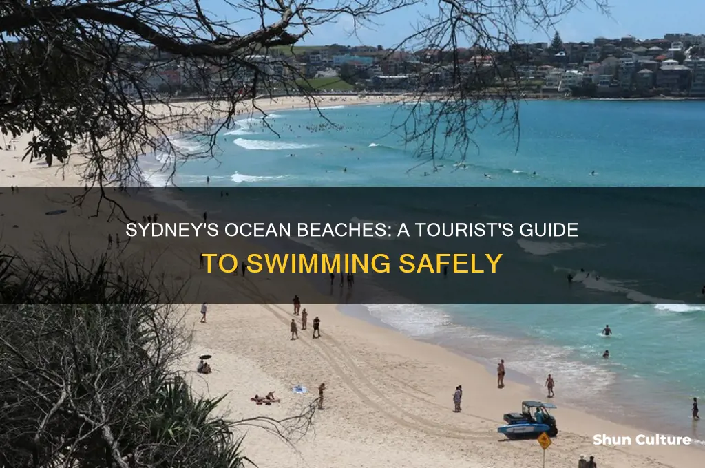 do tourists swim in the ocean beaches around sydney australia