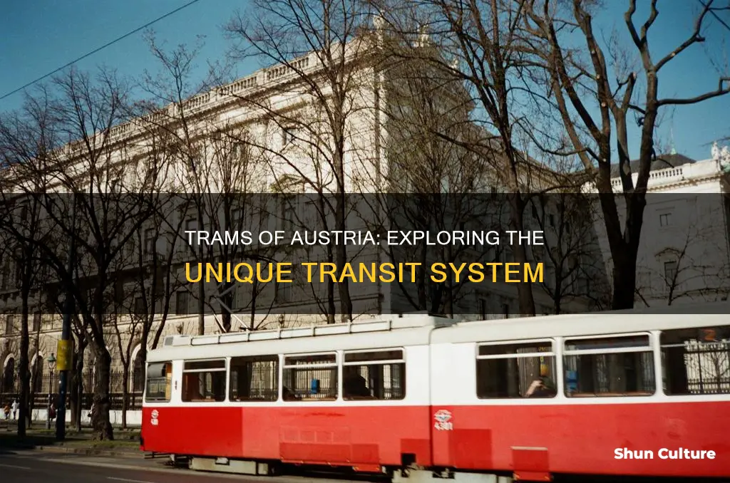 do trams from austria