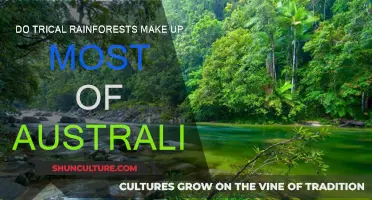 Australia's Tropical Rainforests: A Natural Wonder
