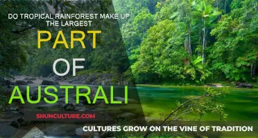 Australia's Tropical Rainforest: How Much Do They Cover?