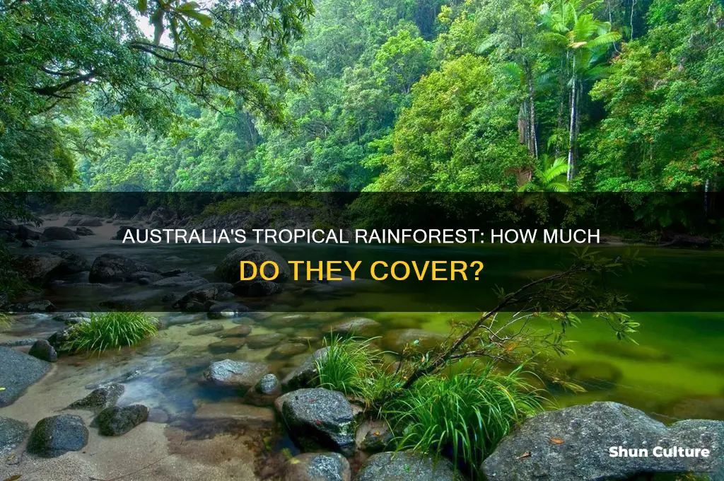 do tropical rainforest make up the largest part of australia