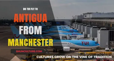 TUI Flights to Antigua from Manchester: Routes, Schedules & Tips