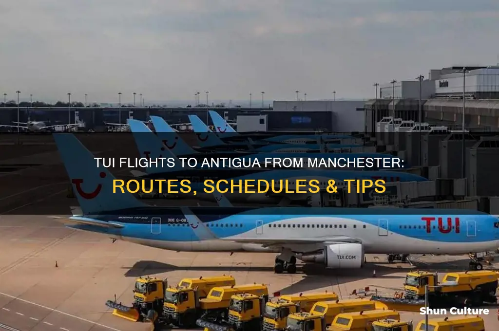 do tui fly to antigua from manchester