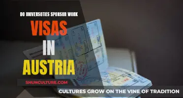 Universities Sponsoring Work Visas in Austria: What You Need to Know