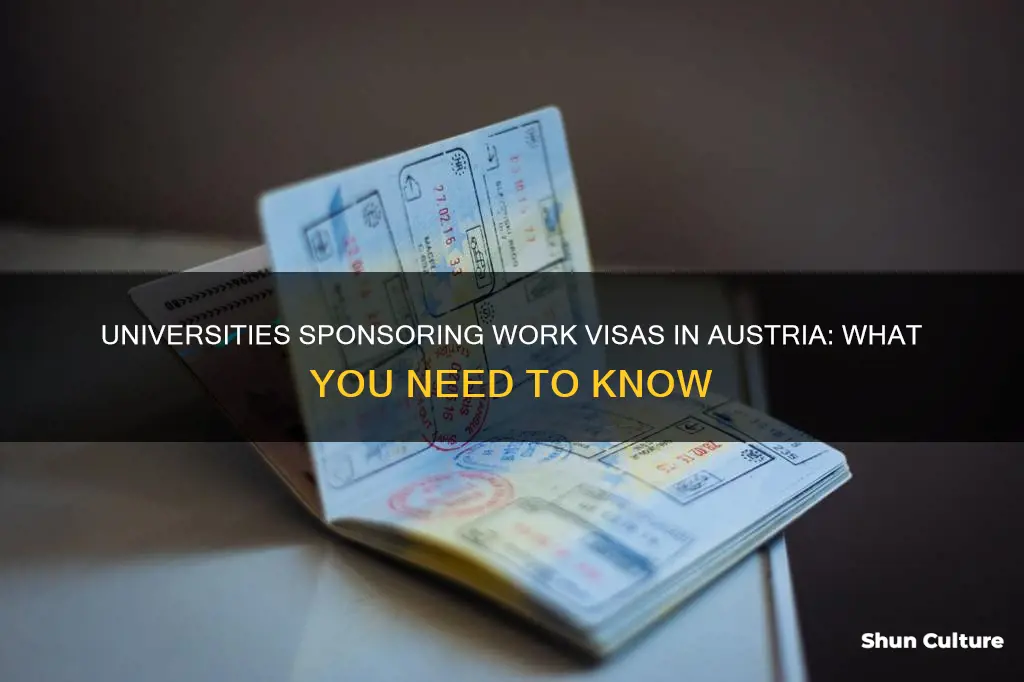 do universoties sponsor work visas in austria