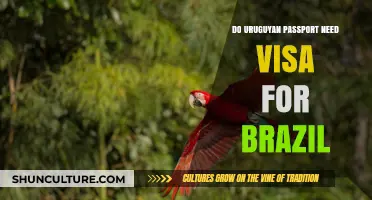 Uruguayan Passport Visa Requirements for Brazil: What You Need to Know