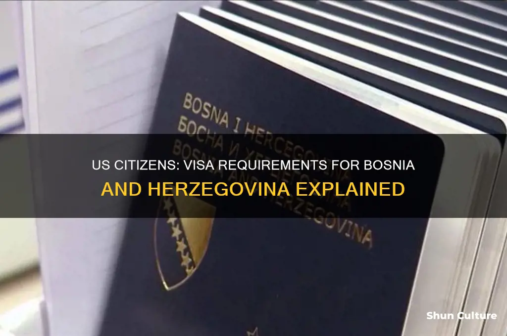do us citizens need a visa for bosnia and herzegovina