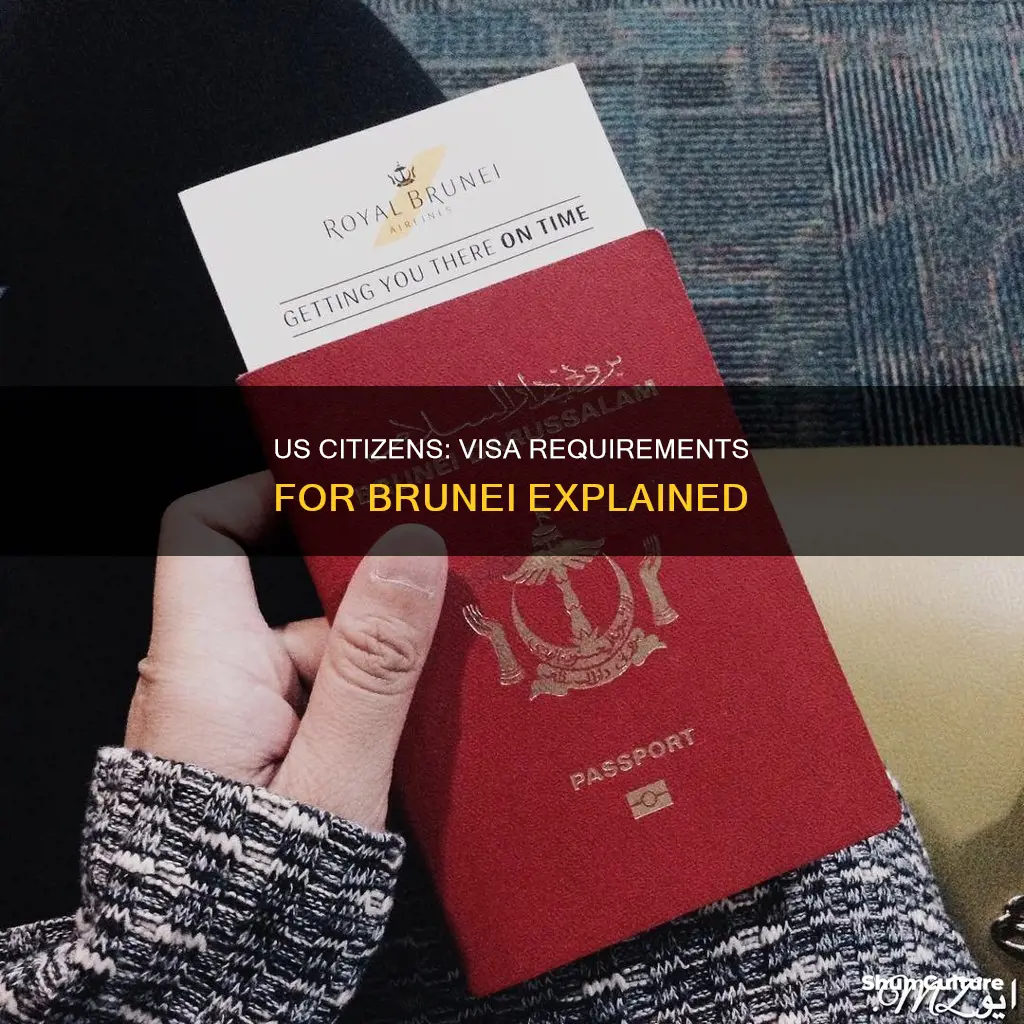 do us citizens need a visa for brunei