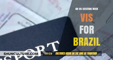Do US Citizens Need a Visa for Brazil? Travel Guide