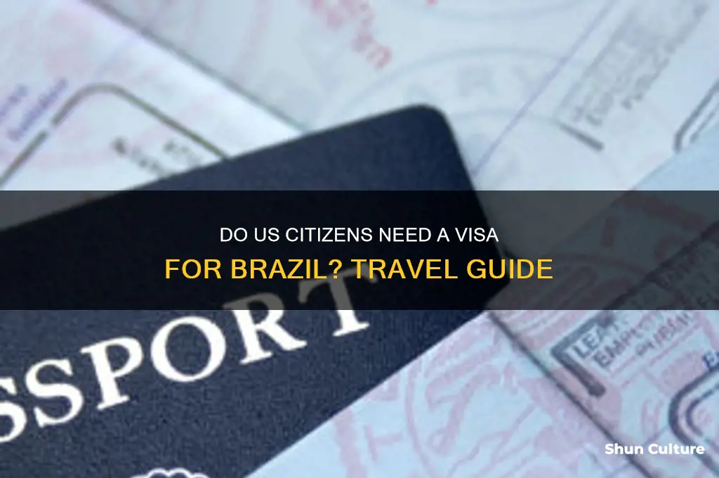do us citizens need vis for brazil
