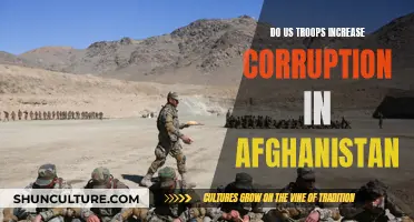 US Troop Presence in Afghanistan: Fueling Corruption or Necessary Evil?