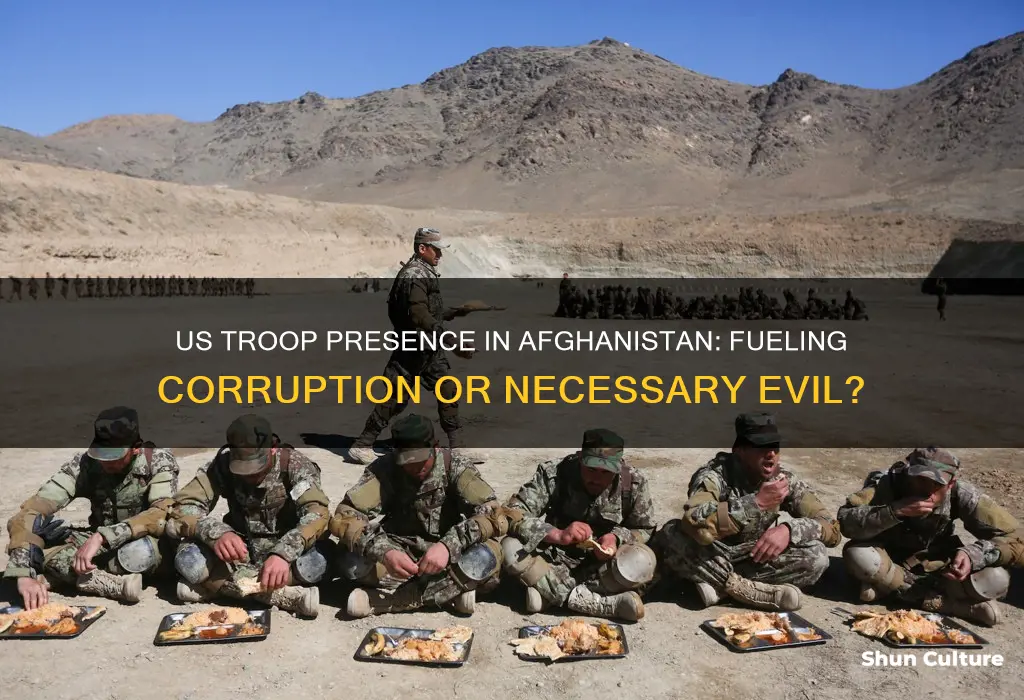 do us troops increase corruption in afghanistan