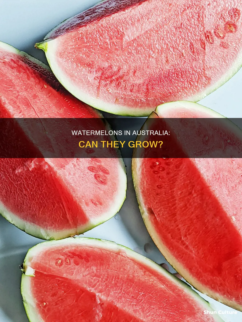 do watermelons grow in australia