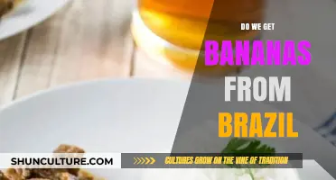 Are Brazilian Bananas on Your Plate? Exploring Global Fruit Origins