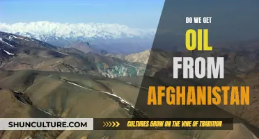 The Quest for Afghan Oil: A Geopolitical Game-Changer?