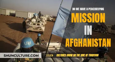 UN Peacekeeping in Afghanistan: A Complex Mission of Support and Stability