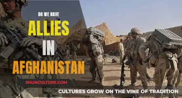 The Shifting Sands of Alliance: Re-examining Friendship in Afghanistan's New Era