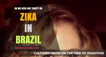 Zika Crisis in Brazil: Is a Global Treaty Necessary?