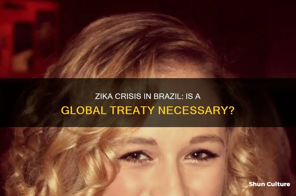 do we need any treaty on zika in brazil