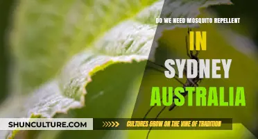 Sydney's Mosquito Menace: Do You Need Repellent in Australia?