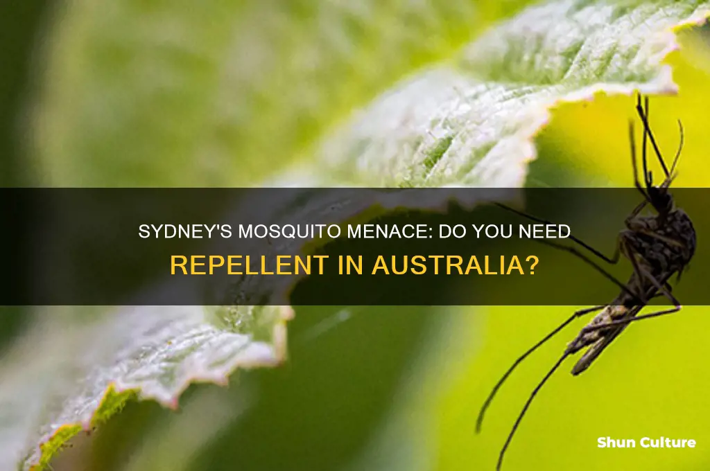do we need mosquito repellent in sydney australia