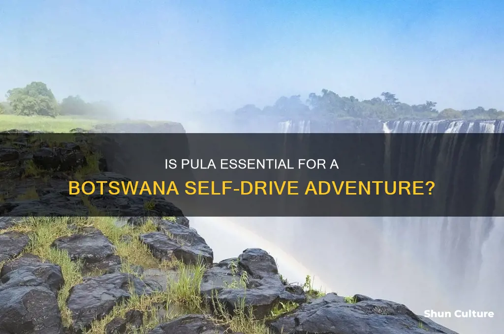 do we need pula for botswana self drive