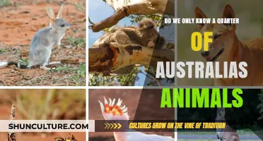 Unveiling Australia's Unknown: A Quarter of Species Unseen