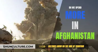 The Cost of War: Examining the Financial Toll of the Afghanistan Conflict