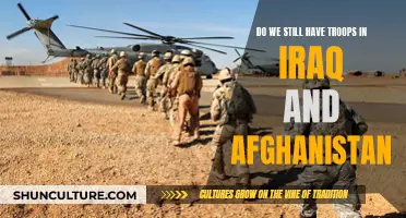 The Lingering Military Presence: Examining the Continued Deployment in Iraq and Afghanistan