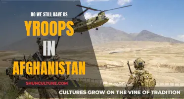 Lingering Military Presence: Examining the Continued Deployment of U.S. Troops in Afghanistan