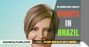 Gender Equality in Brazil: Do Women Truly Have Equal Rights?