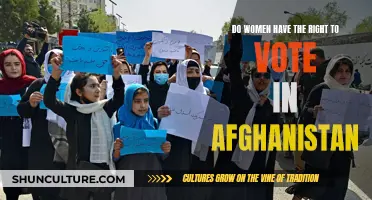 The Uncertain Future of Women's Voting Rights in Afghanistan