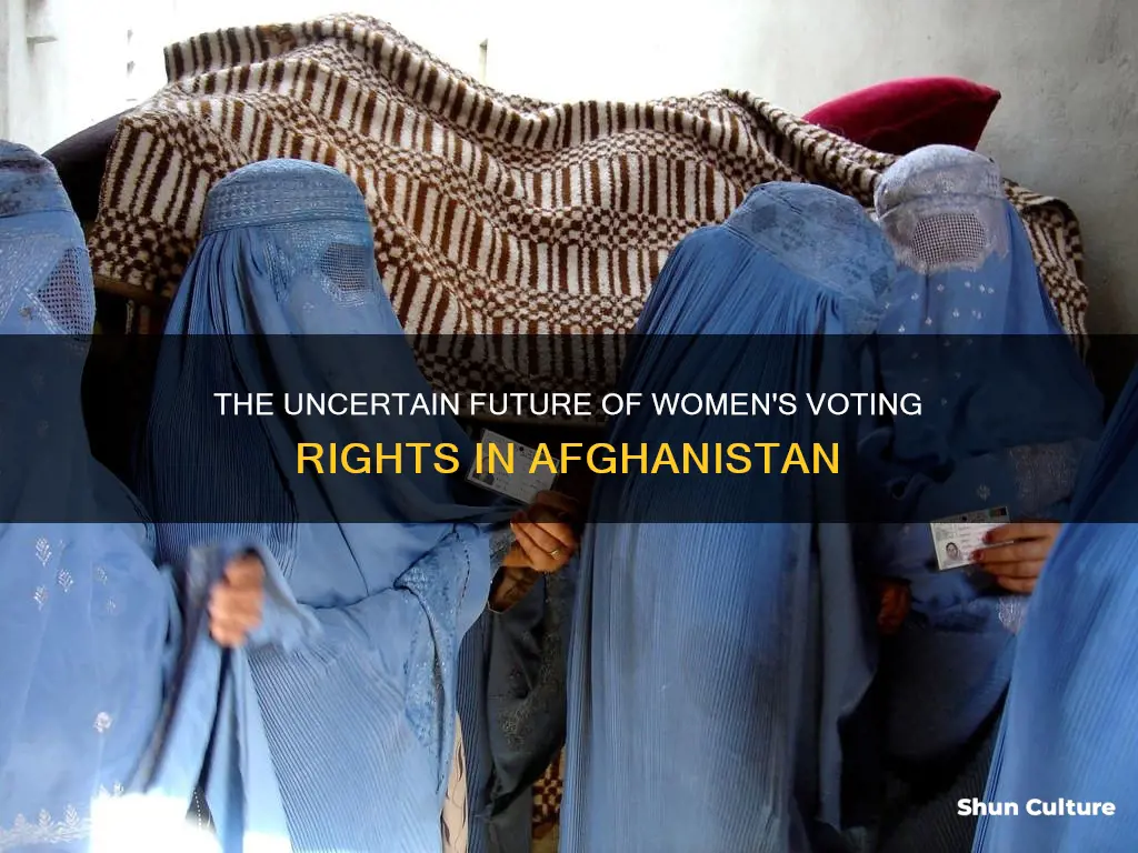 do women have the right to vote in afghanistan