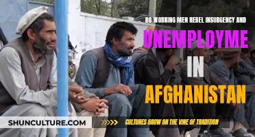 The Insurgent's Path: Unraveling Afghanistan's Cycle of Unemployment and Rebellion