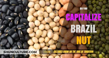 Brazil Nut Capitalization: When and How to Capitalize Properly