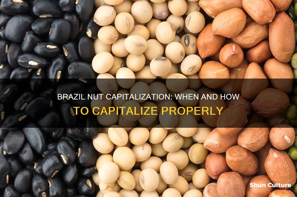 do you capitalize brazil nut